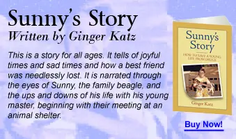 Get Sunny's Story