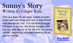 drug prevention storybook sunny's story